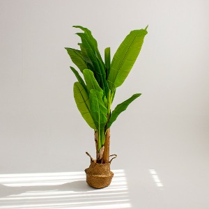 트로피칼 바나나 나무 조화 화분